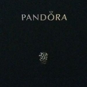 Pandora Love Bouquet Charm